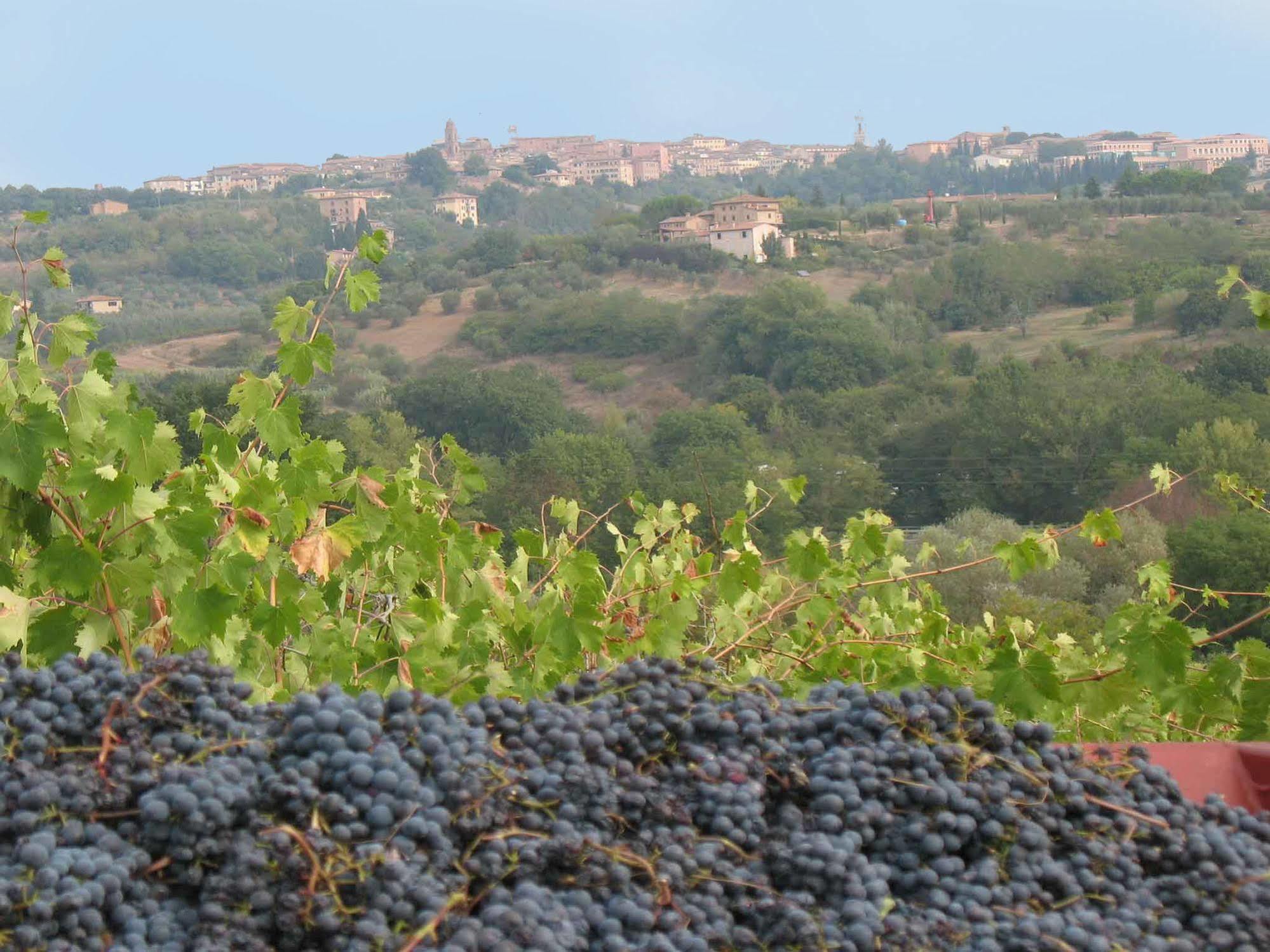 Agriturismo La Torretta Costalpino Экстерьер фото