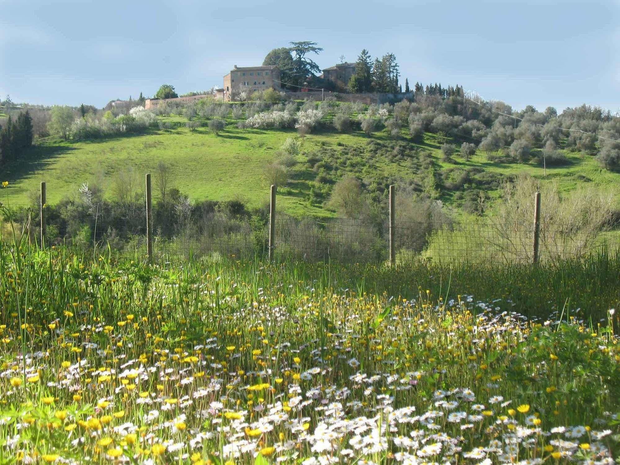 Agriturismo La Torretta Costalpino Экстерьер фото